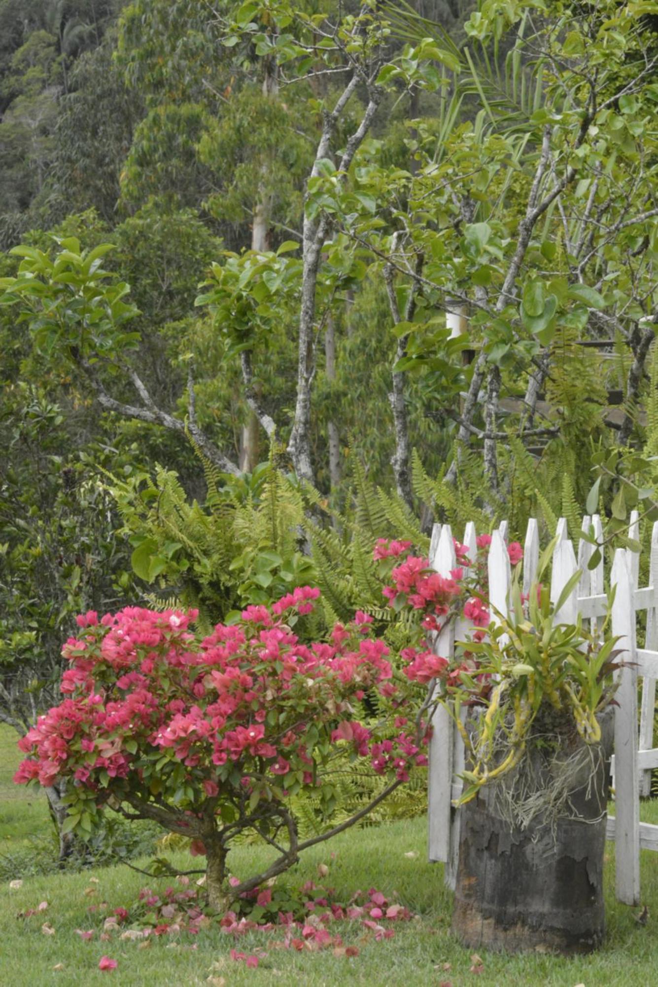 Bed and Breakfast Sitio Juara à Santa Teresa  Extérieur photo